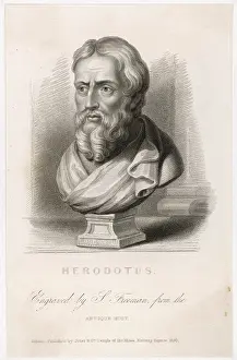 Herodotus: HERODOTUS/FREEMAN/BUST