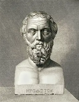 Herodotus: HERODOTUS/HINCHLIFF