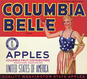 Bodice: Heroine with Sword, Apple