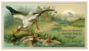 Evidently: HERON AND FROG