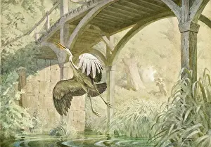 Reeds: Heron taking flight