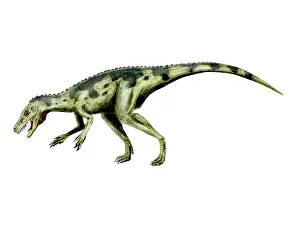 Carnian: Herrerasaurus dinosaur