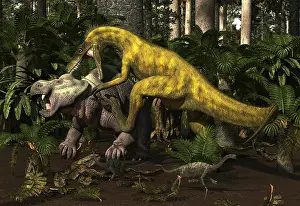 Hungry: Herrerasaurus, an early dinosaur, attacks a dicynodont