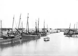Herring: Herring Boats at Portavogie