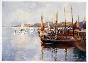 Stornoway: HERRING FLEET/STORNOWAY