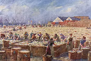 Fishwives: HERRING HARVEST, YARMOUTH