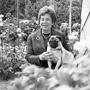 Pflaum: Hertha Firnberg