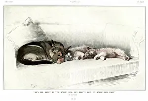 Settee: He's All Right if you Know Him by Cecil Aldin
