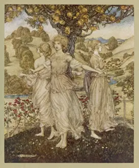 Hesperides: Hesperides