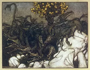 Hera: THE HESPERIDES