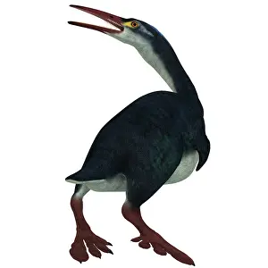 Avian: Hesperornis was a a flightless bird that lived during the ?