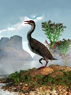 Overlooking: Hesperornis on the shore of a lake looking around