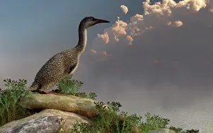 Overlooking: Hesperornis on the shoreline