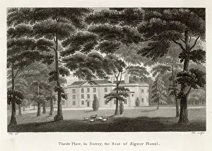 Hester: Hester Thrale - Home