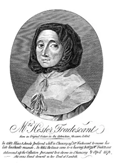 1678: HESTER TRADESCANT