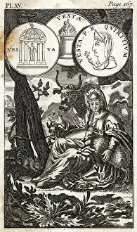 Hestia: HESTIA/TOOKE