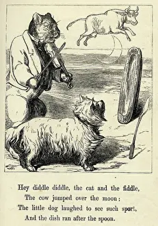 Laughed: Hey diddle diddle, the cat and the fiddle