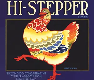 Proudly: Hi-Stepping Chicken