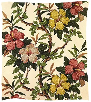 Hibiscus: Hibiscus Blooms