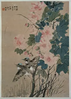 Kingfishers: Hibiscus and flying kingfishers