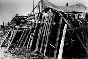Hidden: Hidden German tank on the Eastern front, 1942