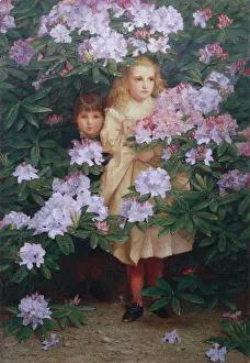 Seek: Hide and Seek ' children and rhododendrons