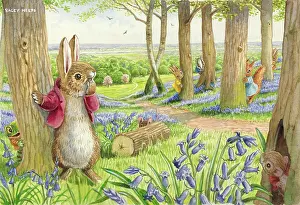 Seek: Hide and Seek! - rabbits, squirrels, badger & frog