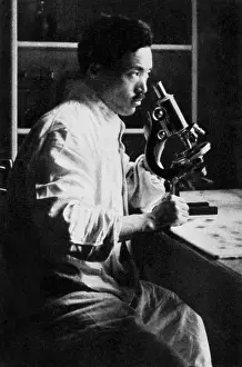 Virologist: Hideyo Noguchi, Japanese Bacteriologist