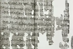 Turin: Hieratic papyrus. Process document. Conspirator death lawsui
