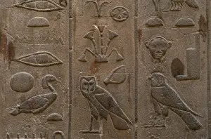 Lotus: Hieroglyphic writing