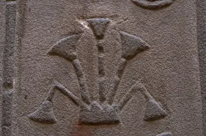 Lotus: Hieroglyphic writing