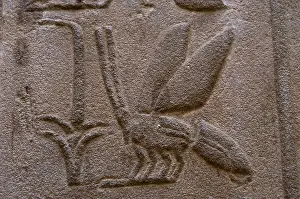 Junk: Hieroglyphic writing