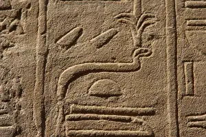 Waset: Hieroglyphic writing