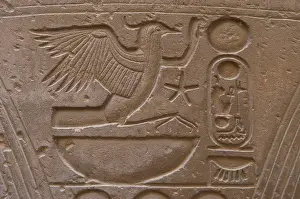 Cartridge: Hieroglyphic writing