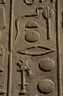 Alphabet: Hieroglyphic writing. Egypt