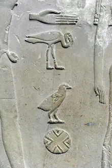 Bearer: Hieroglyphic writing. Relief detail from the tomb of Princes