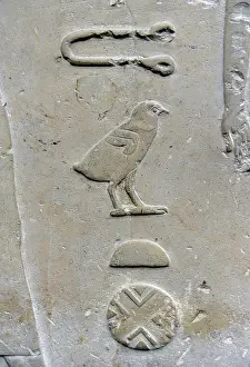 Bearer: Hieroglyphic writing. Relief detail from the tomb of Princes