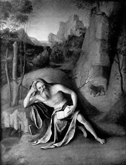Hieronymus: Hieronymus