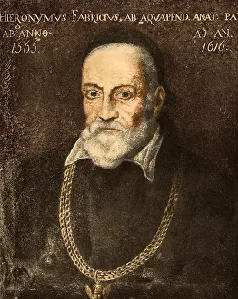 1537: Hieronymus Fabricius, Italian Anatomist