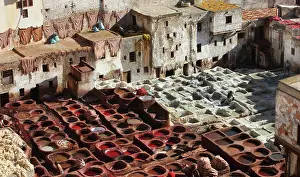 Marinid: Fez