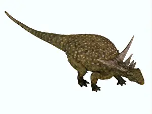 Thyreophora: High angle view of a Sauropelta armored dinosaur