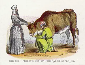 Sins: HIGH PRIEST'S SACRIFICE