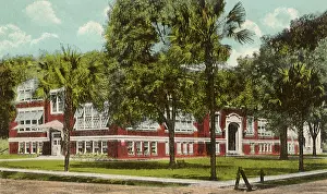 Flor: High School. De Land