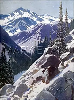 Sierras: The High Sierras