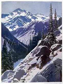 Sierras: IN THE HIGH SIERRAS