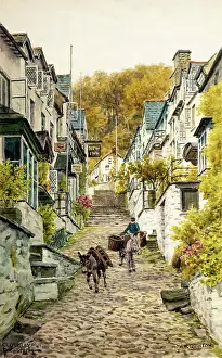 Clovelly: High Street, Clovelly, Devon
