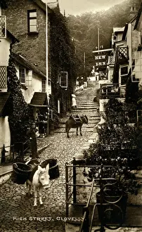 Clovelly: High Street, Clovelly, Devon