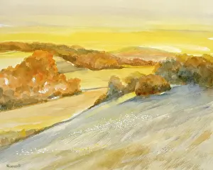 Drenched: High Summer Hills