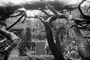 Columbarium: Highgate Cemetery