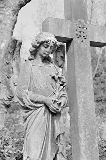 Immortality: Highgate Cemetery